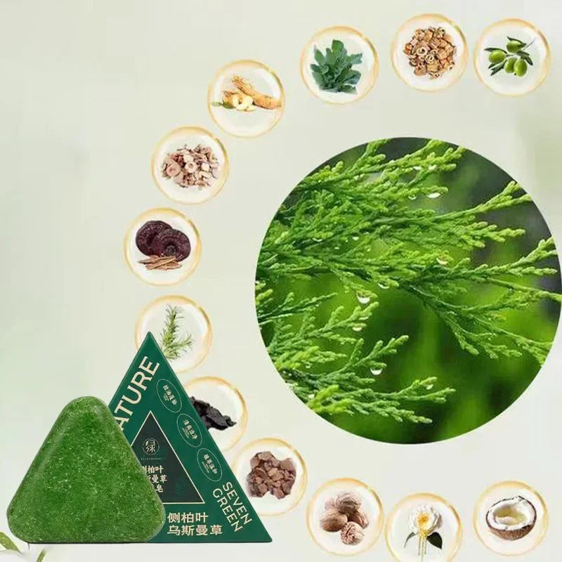 Șampon Solid Natural din Plante – Antimătreață, Anti-Cădere, Calmează Scalpului, Stimulează Creșterea Părului – Handmade